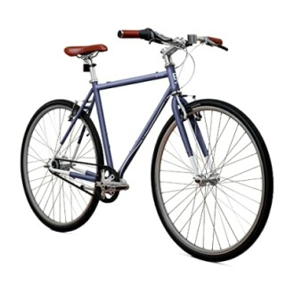 Priority Bicycles Brilliant L Train Adult Bike Review - Lightweight & Durable